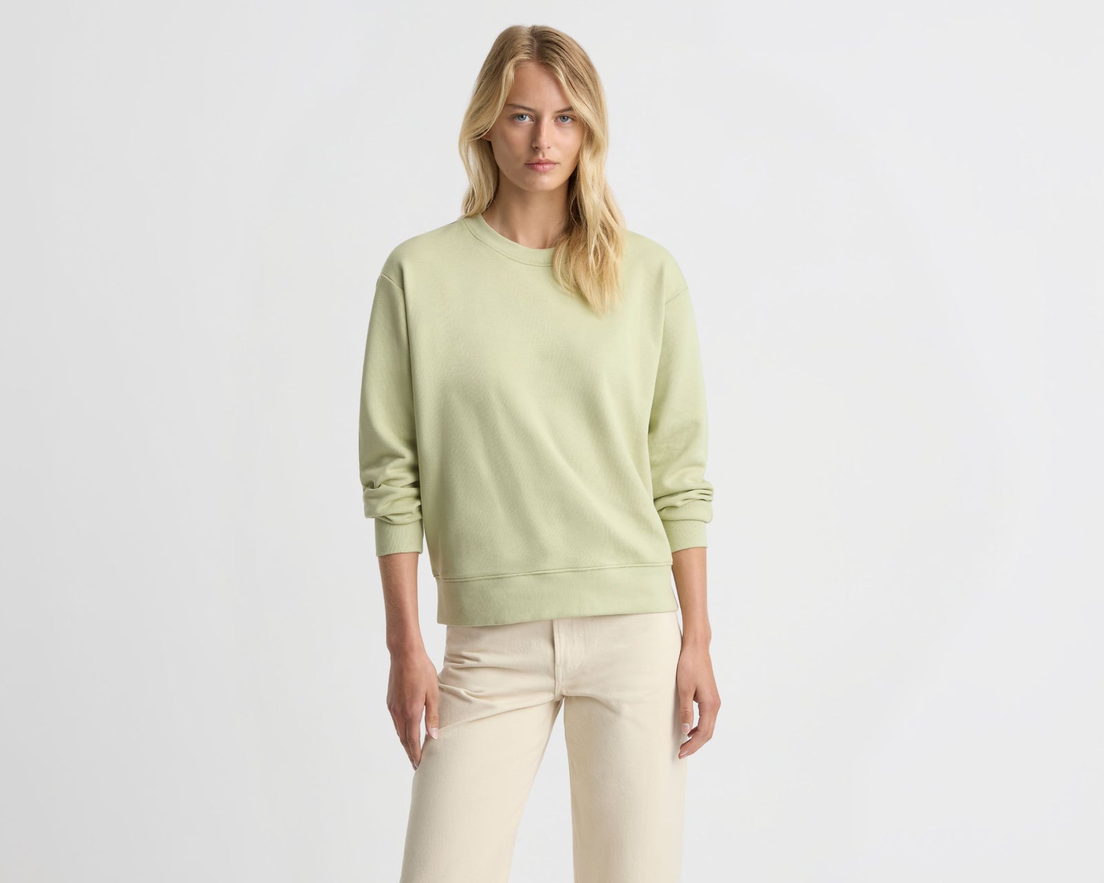 The Sweatshirt